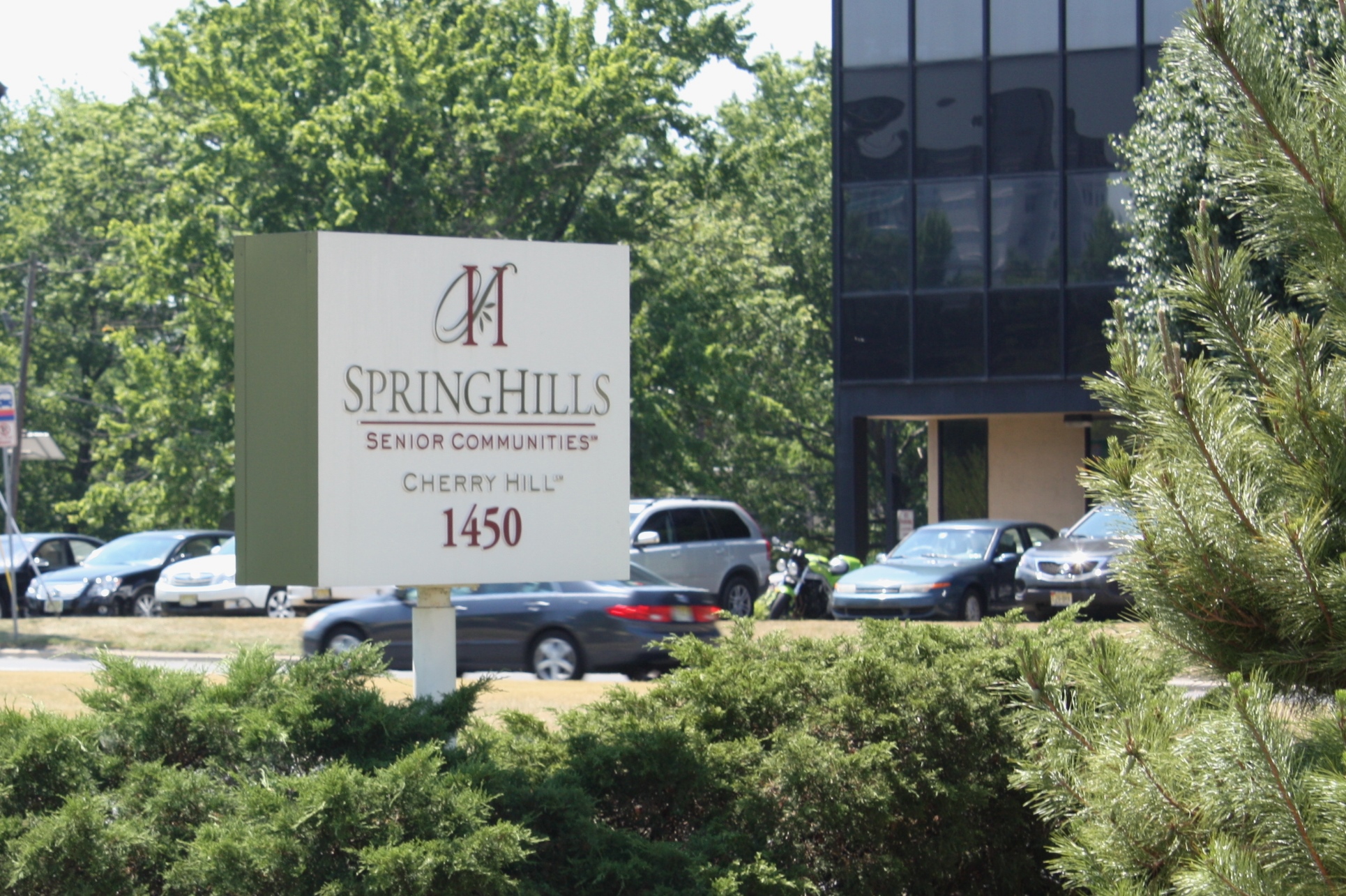 Spring Hills gardening 10